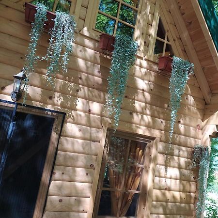 Brvnara Fairy Tale Villa เซทินเจ ภายนอก รูปภาพ