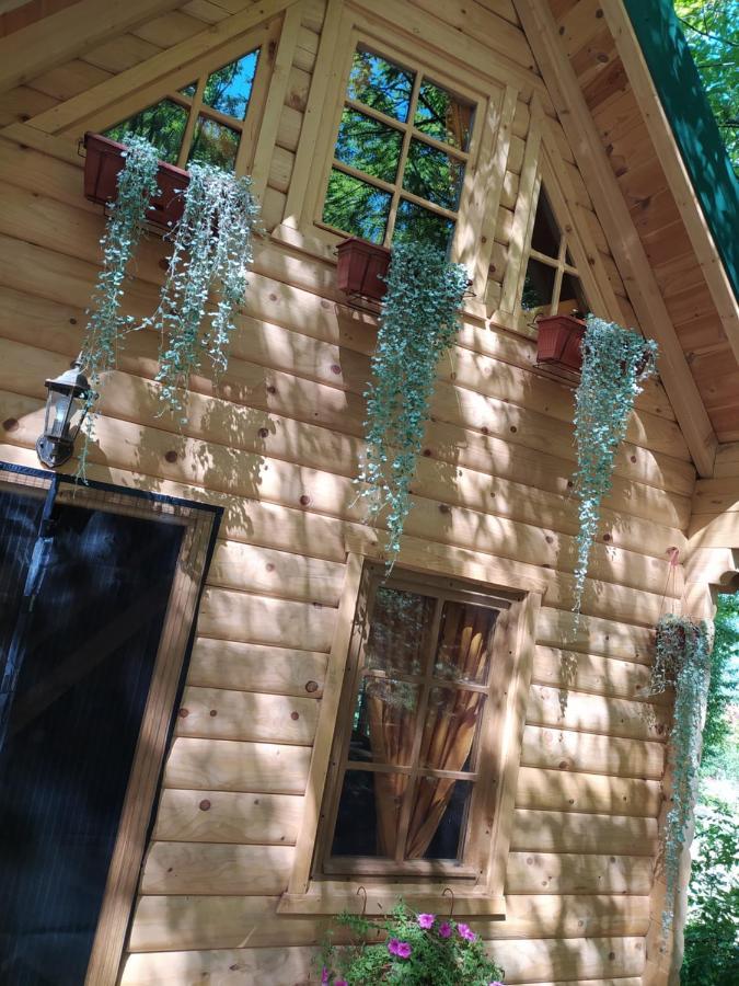 Brvnara Fairy Tale Villa เซทินเจ ภายนอก รูปภาพ