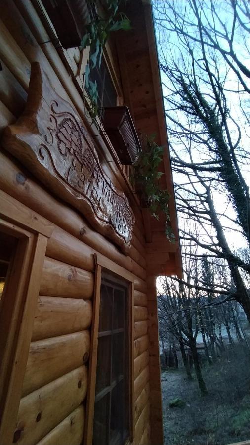 Brvnara Fairy Tale Villa เซทินเจ ภายนอก รูปภาพ