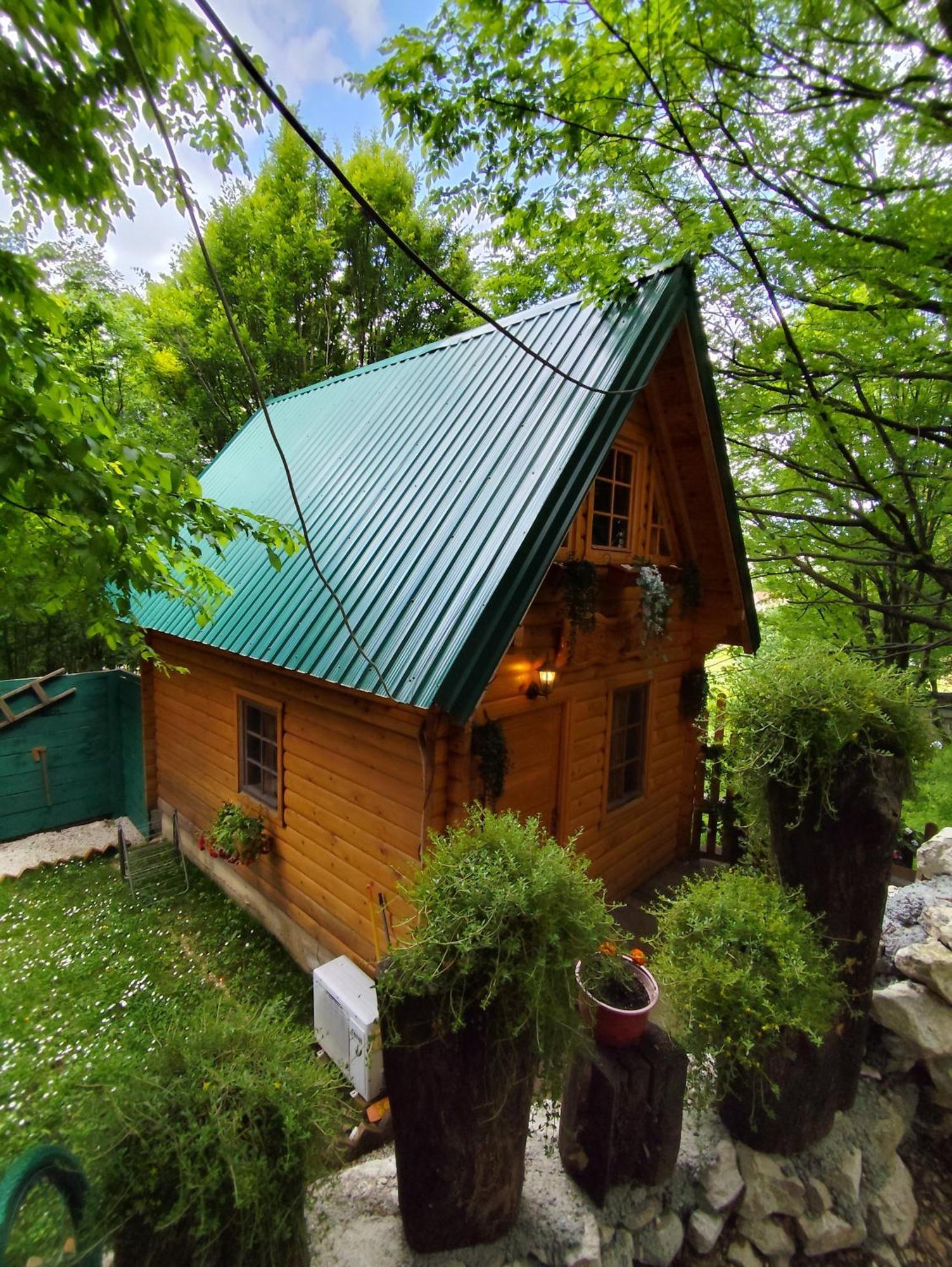 Brvnara Fairy Tale Villa เซทินเจ ภายนอก รูปภาพ