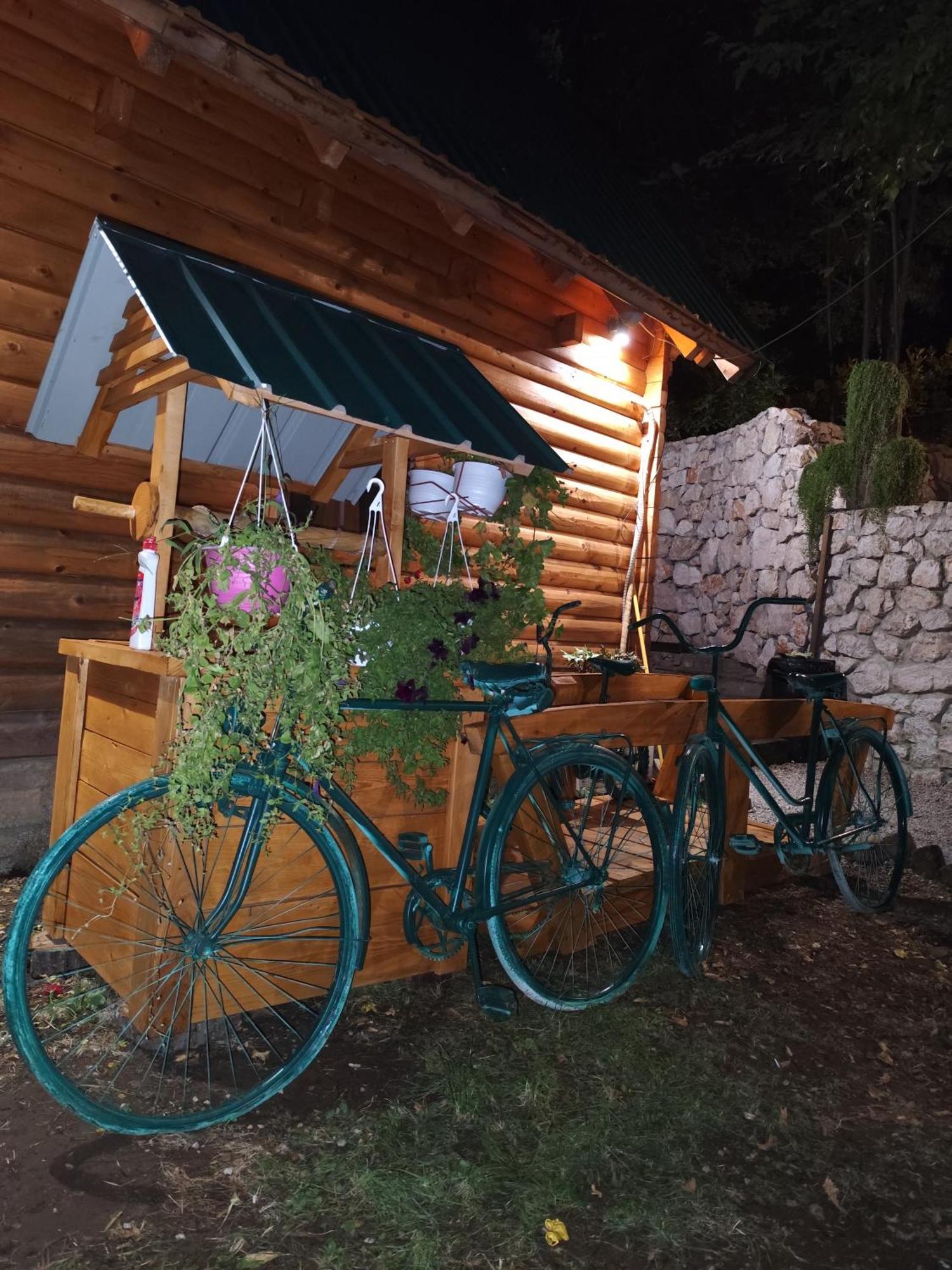 Brvnara Fairy Tale Villa เซทินเจ ภายนอก รูปภาพ